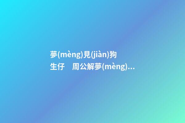 夢(mèng)見(jiàn)狗生仔　周公解夢(mèng)之夢(mèng)到狗生仔